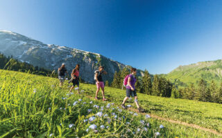 Summer in the Alps: A Mountain High in Morzine