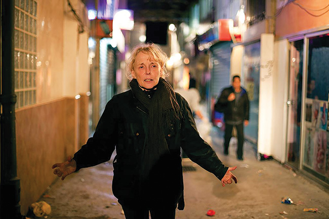 Claire Denis: In a Nutshell