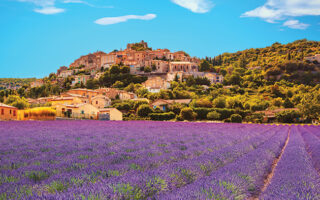 Purple Reign: Lavender and Provence