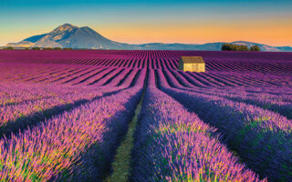 12 Must-See Places in Lavender Country