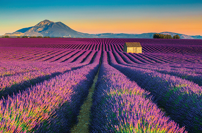 12 Must-See Places in Lavender Country