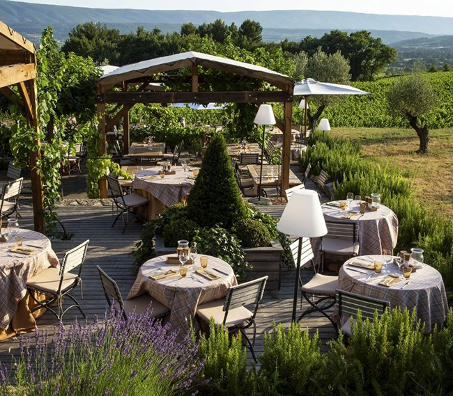 Best Places to Stay and Eat in Lavender Country - France Today