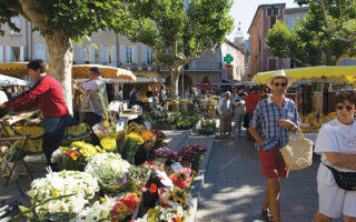 Top Things to Do in Lavender Country