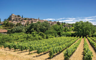 Finding Inspiration in Provence: Marcel Pagnol