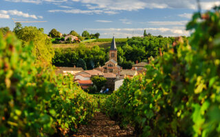 San Francisco Bay Area Celebrates Beaujolais Nouveau