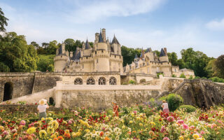Best Château Gardens in the Loire Valley