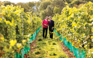 Champagne Takes on Climate Change