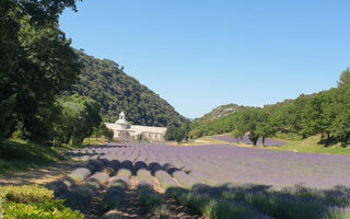 Learn French on an Immersive Stay in Provence