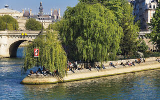 Parisian Walkways: Île de la Cité