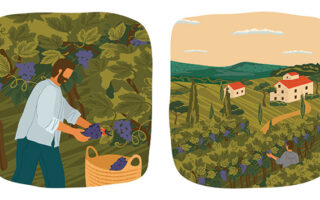 Parallel Texts: Les Vendanges