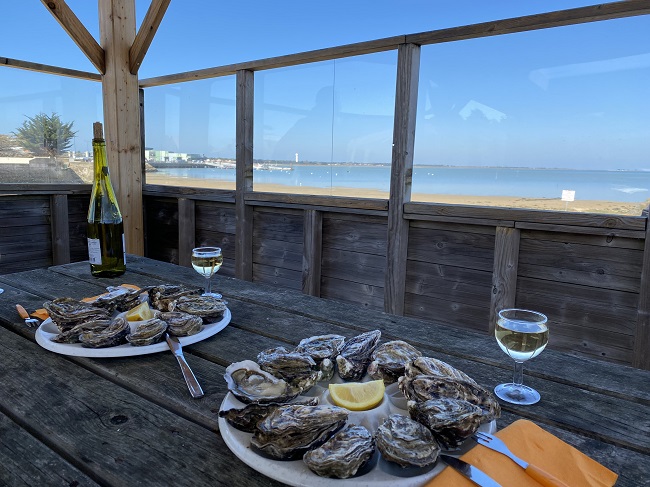 oysters on the beach
