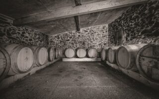 Taste the Terroir: the Other Wines of the Pays Nantais