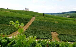 Carnet de Voyage: the Champagne Guy