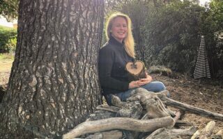 Le Dernier Mot: Wood you Believe it?
