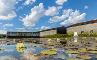 Rémy Martin, the True Spirit of Cognac