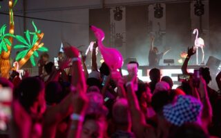 Family Piknik Festival: Dance Music for All Generations