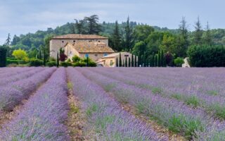 Provence Villas Selection: Your Dream Holiday in the South of France 