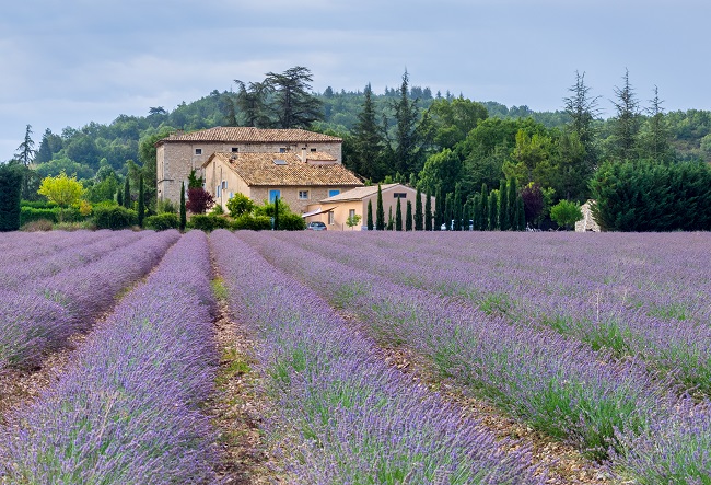 Provence Villas Selection: Your Dream Holiday in the South of France 