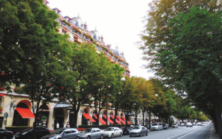 Read the Signs: Avenue Montaigne