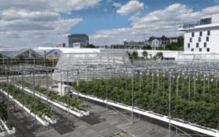 The Eco Farm Hidden on the Rooftops of Paris