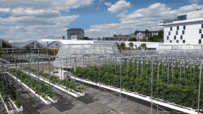 The Eco Farm Hidden on the Rooftops of Paris