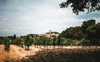 Santé! Tour the Wine Villages of Provence