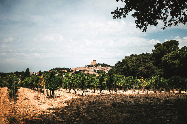 Santé! Tour the Wine Villages of Provence