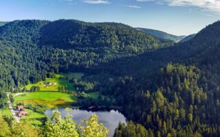 Carnet de Voyage: First Encounter with the French