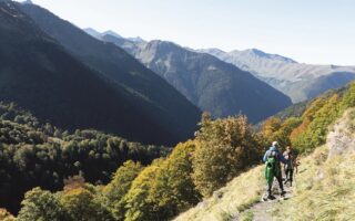 Green France: Pioneering Haute-Garonne and a Cleaner Ferry