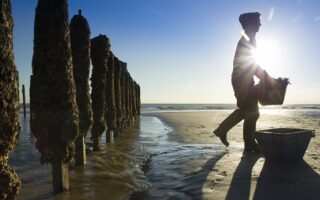 Eat Your Way Down the Coast From Calais to Montreuil-sur-Mer