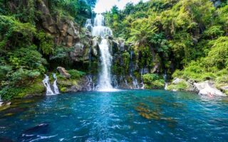 Carnet de Voyage: Living la Vie Tropicale