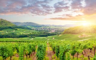 6 Mouth-Watering Food Experiences Along the Vallée de la Gastronomie