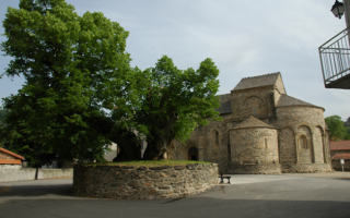 Carnet de Voyage: the Sully Trees