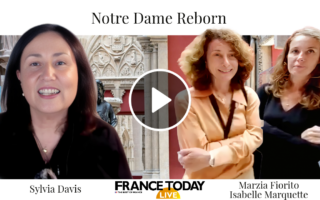 Notre Dame Reborn