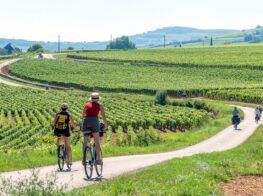 Biking La Voie des Vignes in Burgundy...