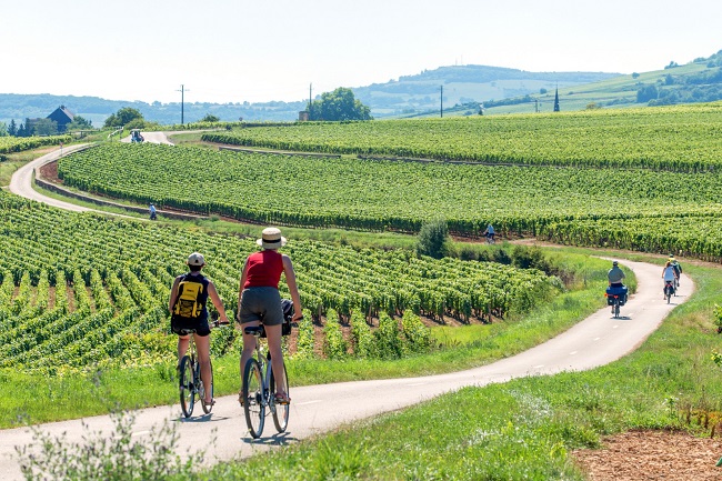 Biking La Voie des Vignes in Burgundy
