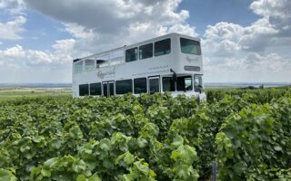 Marie-Antoinette Lives in Champagne. And She Runs a Bubbly Bus 