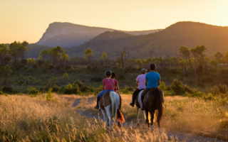 Three Under-the-Radar Activities to Experience the Real Provence 
