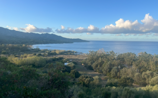 Patrimonio, Corsica, to Open St Martin Pilgrimage Trail Next Year 