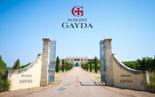 Experience Personalised Wine Tastings at Domaine Gayda 