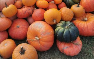 A Tour of the Culinary Delights of the Creuse