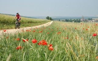 Boat Bike Tours: Cycling Cruises in France