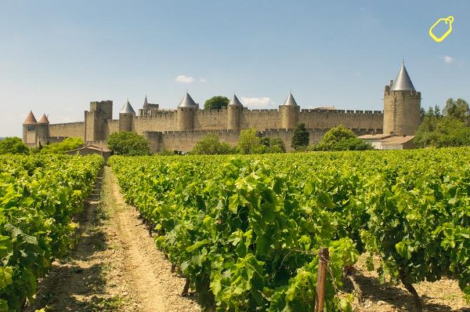 Exquisite Wine and Amazing Sunglasses for Less: Shop Tax-Free in the EU