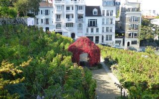 Carnet de Voyage: A Festival to Remember