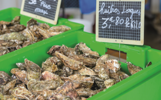 What to Eat in Deux Charentes?