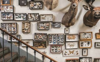 An Extraordinary French Collection