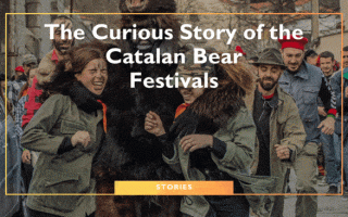 The Curious Story of the Catalan Bear Festivals
