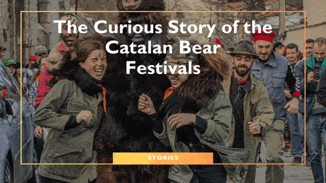 The Curious Story of the Catalan Bear Festivals
