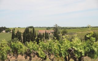 A Taste of the Southern Rhône