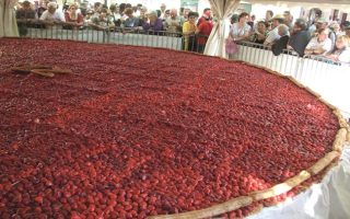 Strawberry Celebration in the Limousin